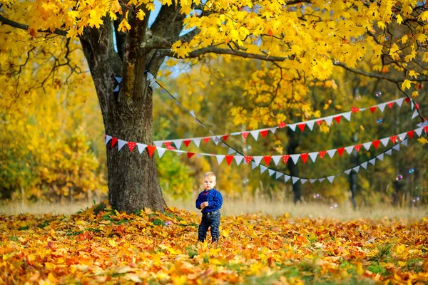Çocuk güzel bir parkta yürüyor — Stok fotoğraf
