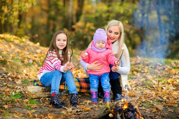 Family at a picnic — Stock Photo, Image