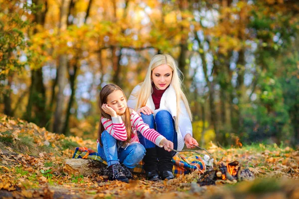 Bir piknik aile — Stok fotoğraf