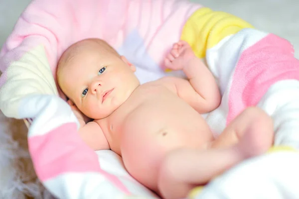 Schönes Neugeborenes Liegt Auf Einer Weichen Decke Der Krippe — Stockfoto