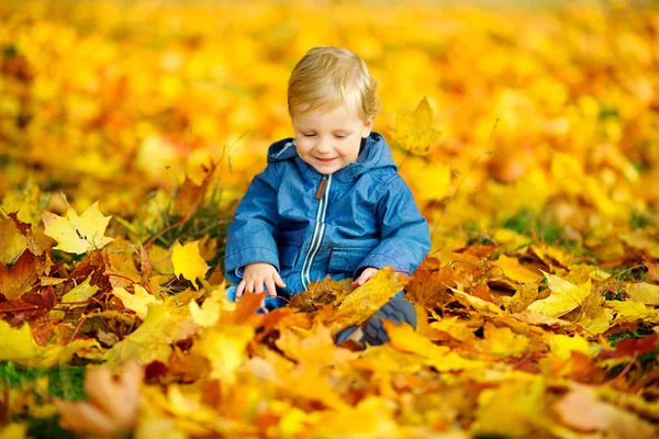 Счастливый Ребенок Играющий Сидя Красивом Осеннем Отпуске — стоковое фото