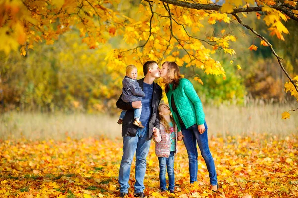 Gelukkige Familie Wandelingen Het Najaar Park Vriendschappelijk Houden Handen Papa — Stockfoto