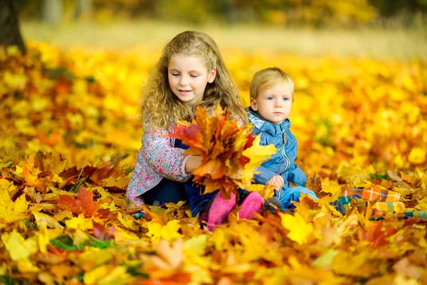Crianças Bonitas Brincam Com Outono Caído Folhas Livre Brincam Têm — Fotografia de Stock
