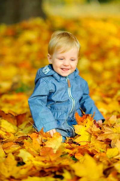 Счастливый Ребенок Играющий Сидя Красивом Осеннем Отпуске — стоковое фото