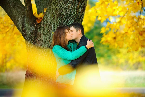 丈夫拥抱和亲吻他的妻子站在一棵树下 在一个美丽的秋天 Par — 图库照片