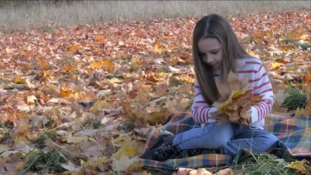 健康的な野外レクリエーションの美しい少女を収集落ち葉の花束 — ストック動画