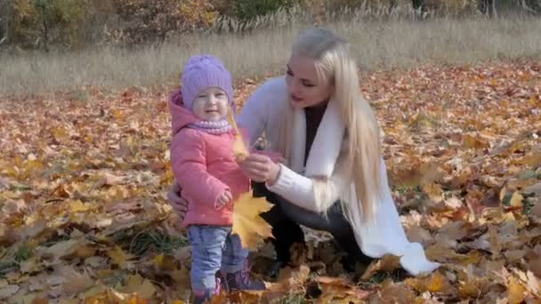 Здоровый Открытый Отдых Мама Маленьким Ребенком Собирает Красивые Листья Листвы — стоковое видео