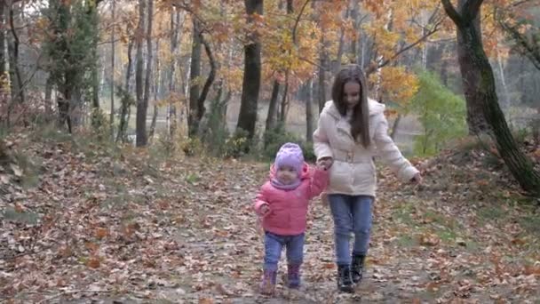 一个女孩和她的小妹妹在一个美丽的公园散步 握住她的手 教她走路 — 图库视频影像