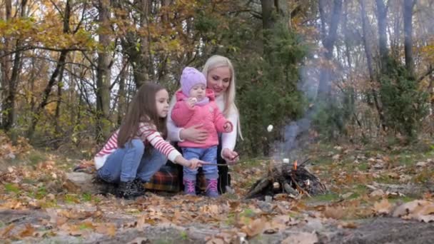 Zdrowej Rekreacji Świeżym Powietrzu Piknik Rodzinny Pięknym Parku — Wideo stockowe