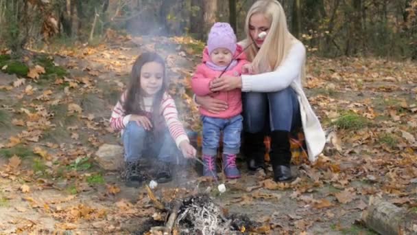 Loisirs Plein Air Sains Pique Nique Famille Dans Beau Parc — Video