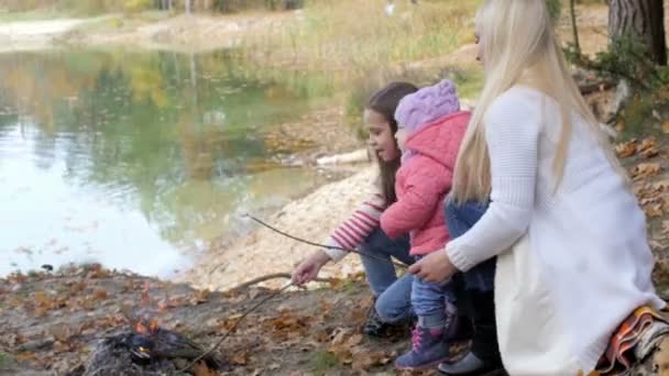 Sağlıklı Açık Rekreasyon Güzel Bir Parkta Aile Pikniği — Stok video