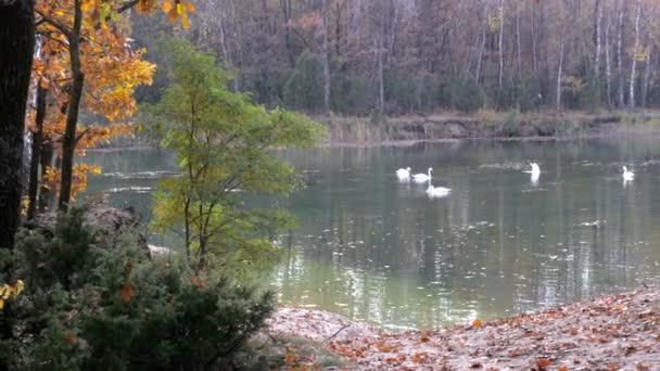 L'ouvrier polit les planches avec une machine à polir. Travaux de nettoyage du bois 