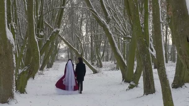 Bruden Med Brudgummen Promenera Den Vackra Vinter Parken — Stockvideo
