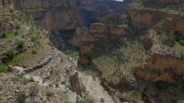 在阳光明媚的日子里 伊朗的全景大峡谷 陡峭岩石上罕见的植被 — 图库视频影像