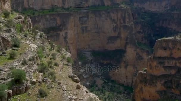 Panorama Grande Canyon Dell Iran Nella Giornata Sole Vegetazione Rara — Video Stock