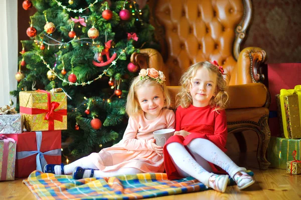 两个美丽的女孩坐在地板附近的节日圣诞树 在他们手中的一杯茶 免版税图库图片