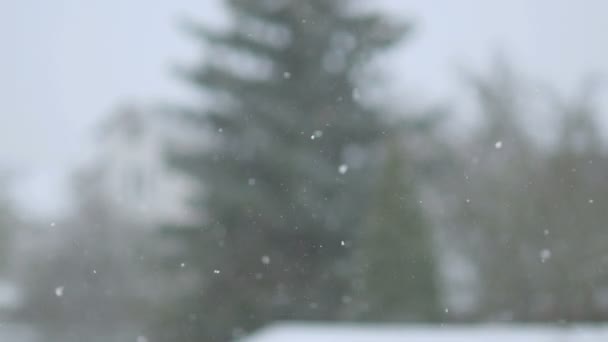 Invierno Nevado Caída Copos Nieve — Vídeos de Stock