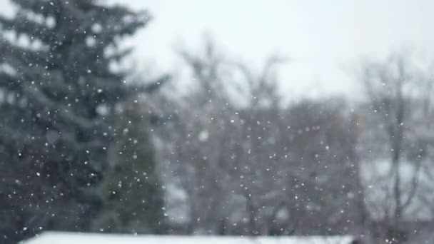 Invierno Nevado Caída Copos Nieve — Vídeos de Stock