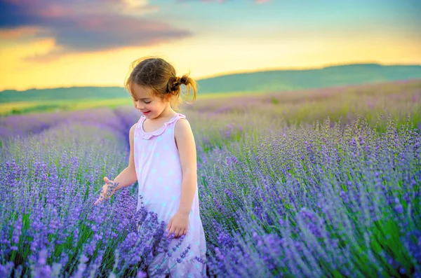 Mooi Meisje Een Boeket Plukken Een Lavendel Veld Bij Zonsondergang — Stockfoto