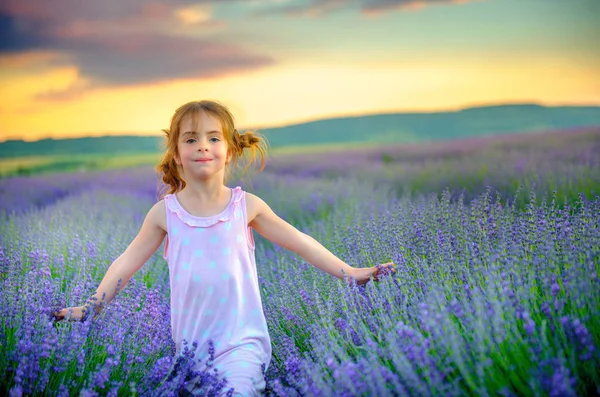 güzel küçük bir kız yürüyüş ve having fun lavanta sahada günbatımında