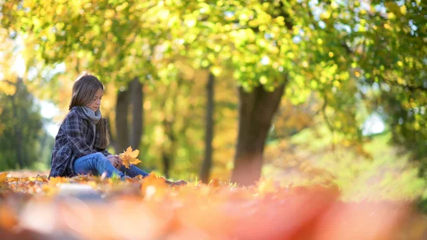 Aranyos Kislány Hajával Fekszik Bukott Lombozat Egy Gyönyörű Parkban Gyűjti — Stock Fotó