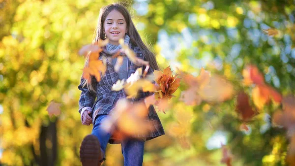 可爱的小女孩带着她的头发在一个美丽的公园里散步 收集了一束树叶和梦想 — 图库照片