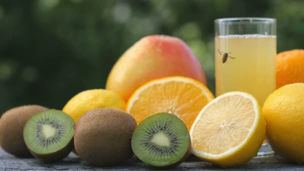 Ensemble Fruits Mûrs Trouve Sur Table Une Abeille Rampe Sur — Video