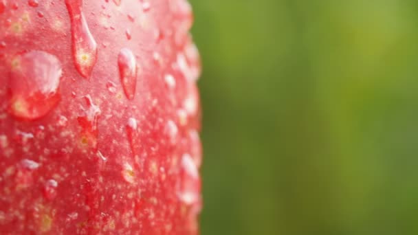 Manzana Roja Madura Cubierta Con Gotitas Agua Gira Sobre Fondo — Vídeos de Stock