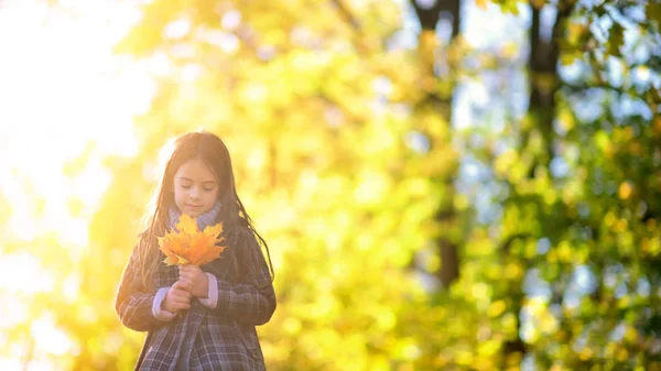 日落时 可爱的小女孩在美丽的秋天公园里散步 抱着一束秋叶 — 图库照片