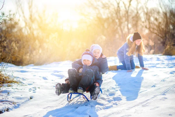 Kinderen Spelen Een Besneeuwd Winterpark Bij Zonsondergang Van Heuvel Sleeën — Stockfoto