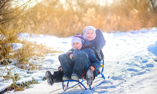 Bambini Giocano Parco Invernale Innevato Tramonto Slittare Giù Collina Divertirsi — Foto Stock