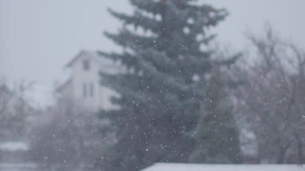 Fuori Nevica Fiocchi Neve Che Cadono Lentamente Tempo Invernale Gelo — Video Stock