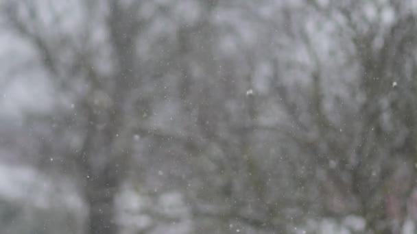 Χιονίζει Έξω Σιγά Σιγά Πέφτουν Νιφάδες Χιονιού Χειμερινός Καιρός Πάγος — Αρχείο Βίντεο