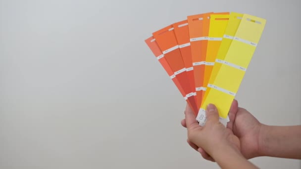 Designer Meisje Staat Naast Muur Met Een Kleurenpalet Haar Handen — Stockvideo