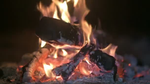 Primo Piano Della Legna Che Brucia Una Stufa Fuoco Ardente — Video Stock