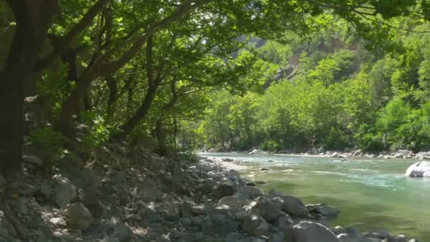 Ποταμός Βουνού Και Πράσινα Δέντρα Τουρισμός Και Ταξίδια Ελεύθερος Χρόνος — Αρχείο Βίντεο
