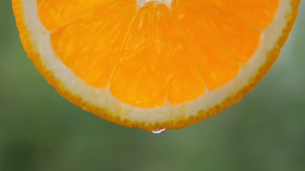 熟したオレンジのスライスから滴り落ちる水やジュースのドロップアップ 果物は新鮮さとジュースを出します食事や健康的な食生活のための果物 — ストック動画