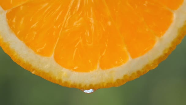 Close Drop Water Juice Dripping Slice Ripe Orange Fruit Gives — 비디오