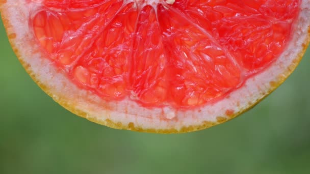 Detailní Záběr Kapky Vody Nebo Šťávy Kapající Plátku Zralého Grapefruitu — Stock video