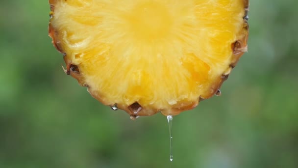 Een Stukje Sappige Ananas Van Dichtbij Druppels Sap Stromen Naar — Stockvideo