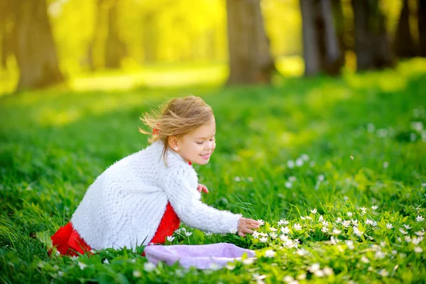 Χαρούμενο Κοριτσάκι Φόρεμά Της Μαζεύει Λουλούδια Στο Πάρκο Ηλιοβασίλεμα Παιδιά — Φωτογραφία Αρχείου