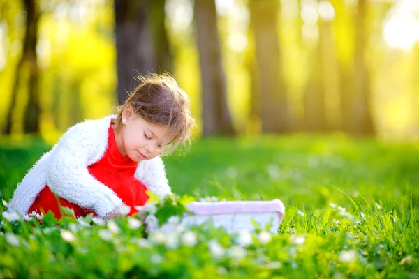 Щаслива Маленька Дівчинка Сукні Підбирає Квіти Парку Заході Сонця Діти — стокове фото