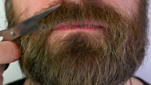 Closeup Girl Scissors Cuts Beard Man Long Beard Hygiene — Stock Video