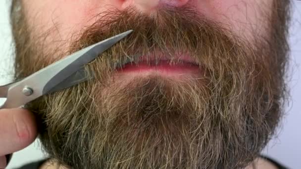 Closeup Girl Scissors Cuts Beard Man Long Beard Hygiene — Stock video