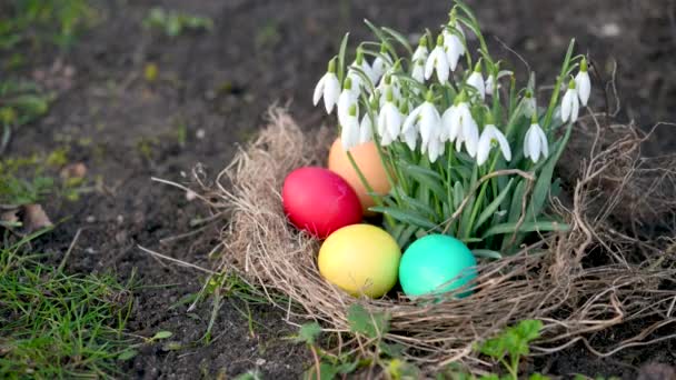 Kleurrijk Paaseieren Een Nest Tuin Bij Mooie Bloeiende Lentebloemen Easter — Stockvideo