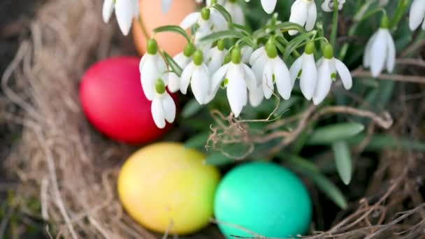 Färgglada Påskägg Ett Trädgården Nära Vackra Blommande Vårblommor Påskägg Jaga — Stockvideo