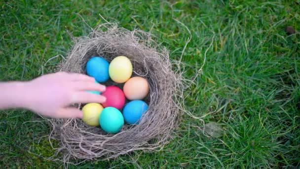 Çocuk Eli Çimenlikteki Bir Yuvada Renkli Bir Paskalya Yumurtası Alır — Stok video
