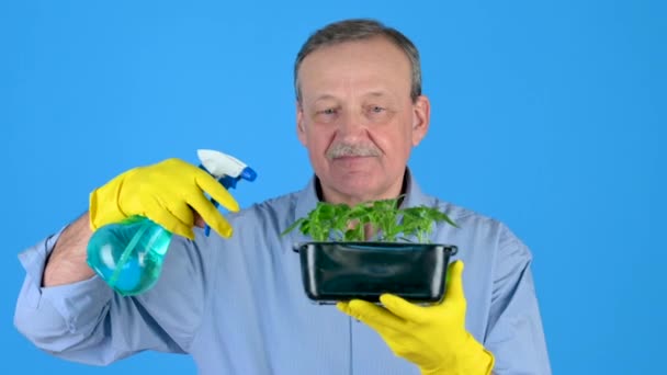 Agricultor Macho Cuida Las Plantas Jóvenes Sostiene Sus Manos Riega — Vídeos de Stock