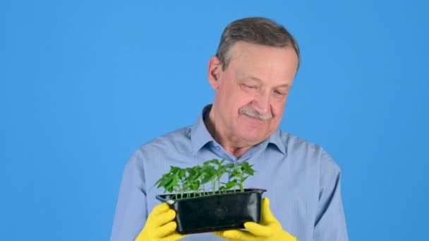 Ein Männlicher Bauer Kümmert Sich Junge Pflanzen Hält Sie Den — Stockvideo