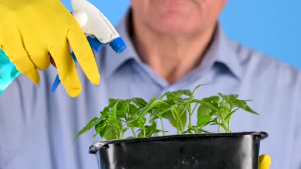 Male Farmer Takes Care Young Plants Holds His Hands Watered — Stock Video